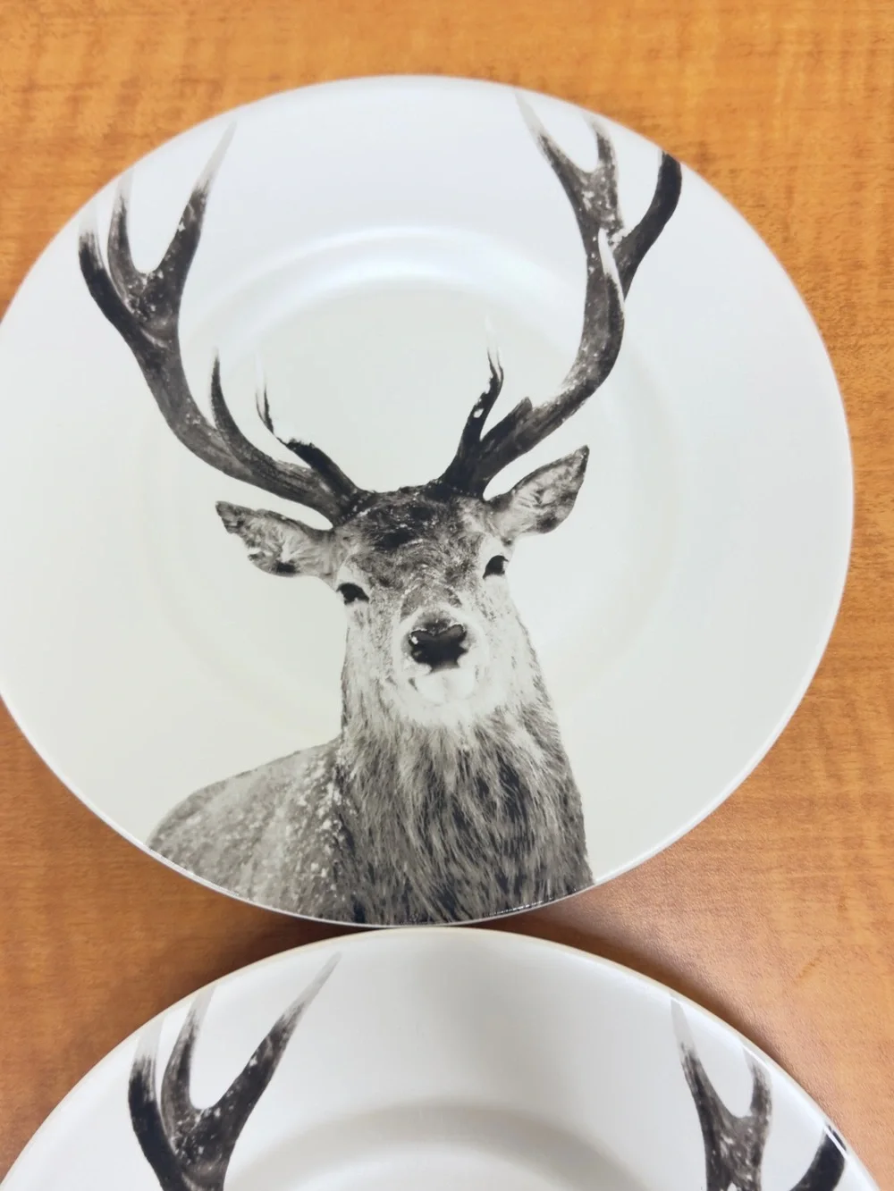 Pier 1 Deer Stag Porcelain Dessert Plates Set of 4 Rustic Woodland Cabin Lodge